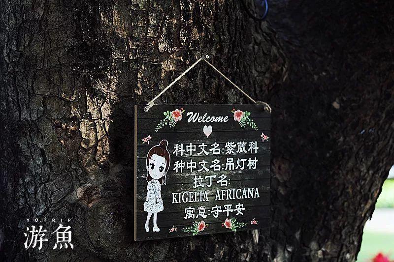 坦克出行